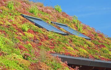 Portesham living roof systems